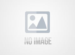 世界をつなぎ、グローバルに届ける：国際物流運輸の全体解説と効率的なソリューション